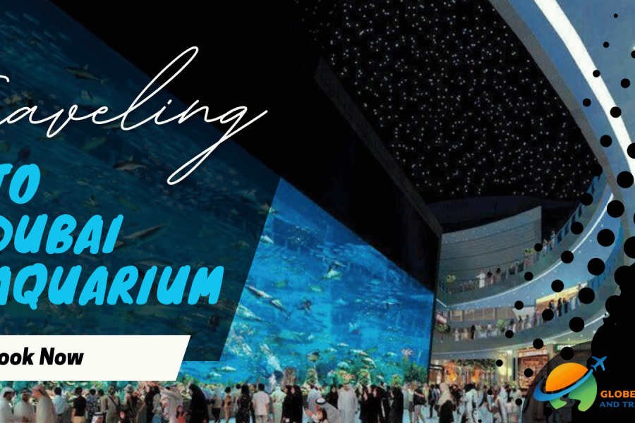 Dubai Aquarium – Underwater Zoo