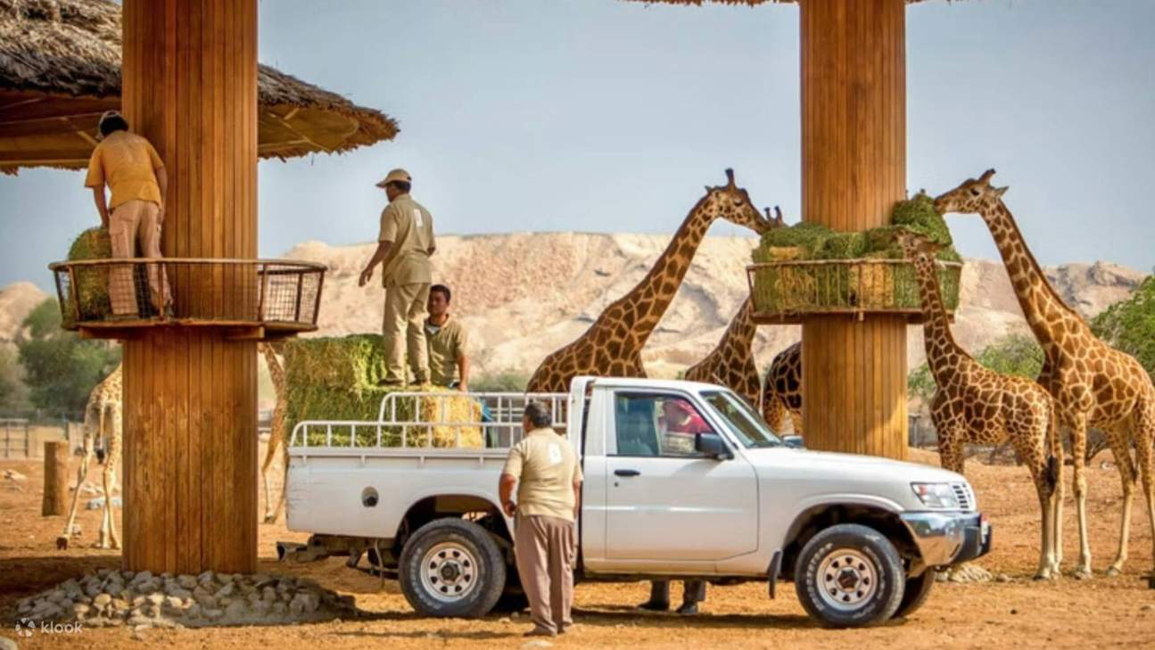 Al Ain Zoo Safari