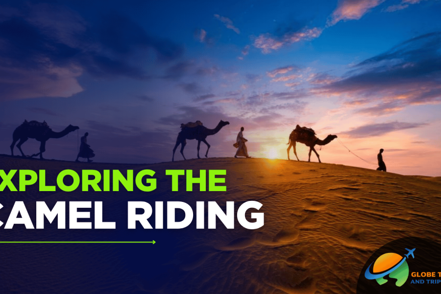 Camel Riding in Dubai
