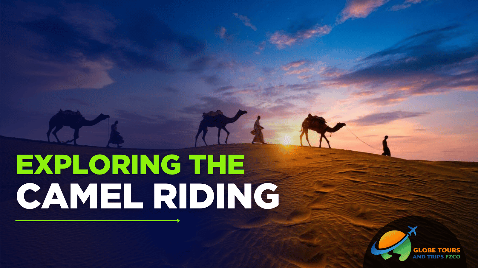 Camel Riding in Dubai