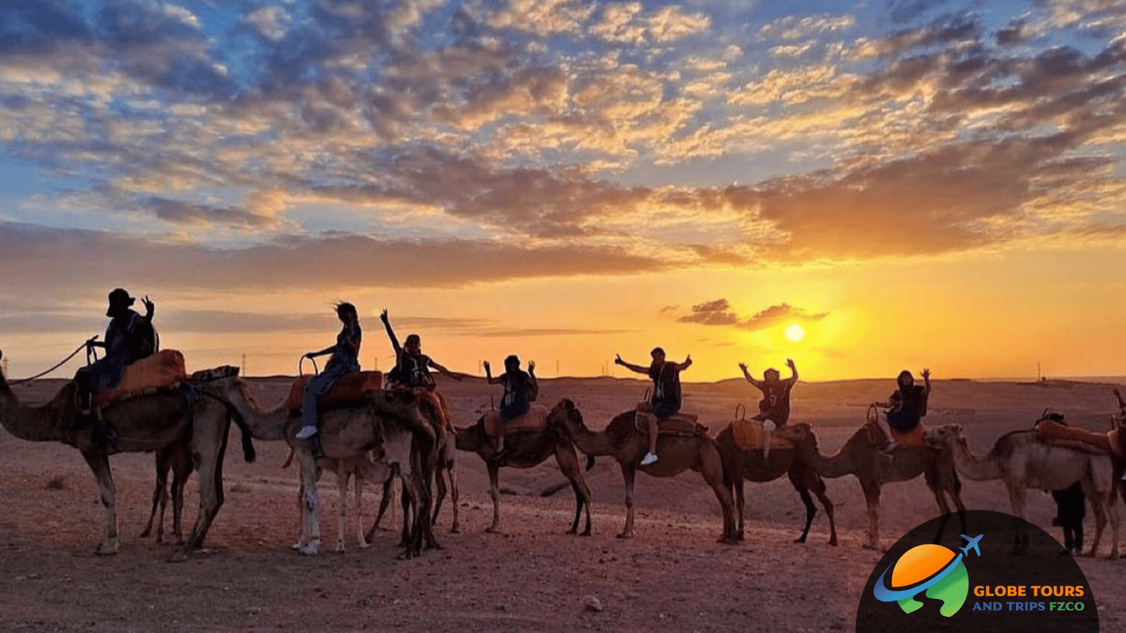 Camel Riding in Dubai