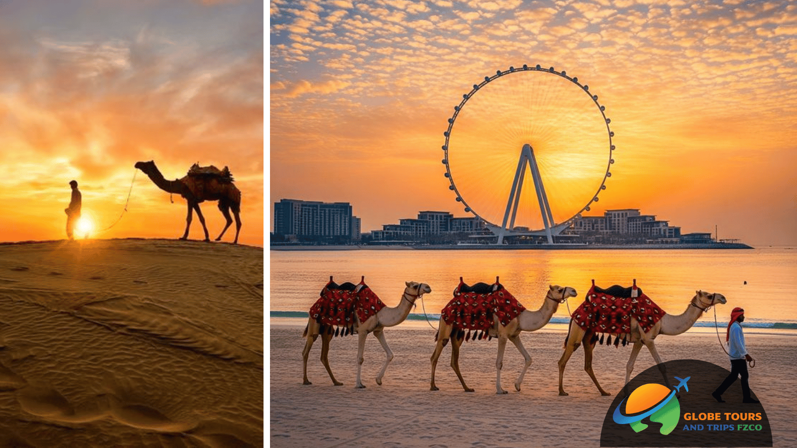 Camel Riding in Dubai