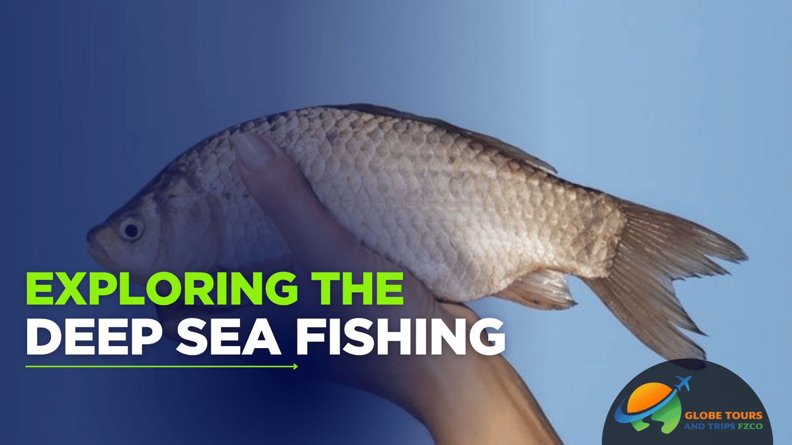 Umm Al Quwain Fishing Trip