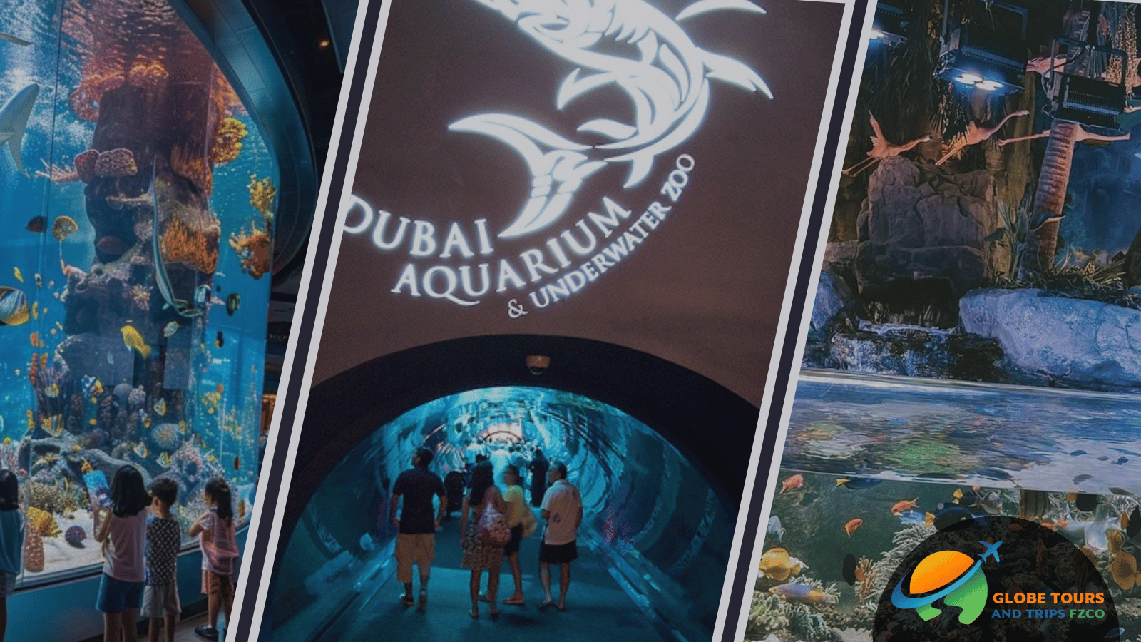 Dubai Aquarium and Underwater Zoo