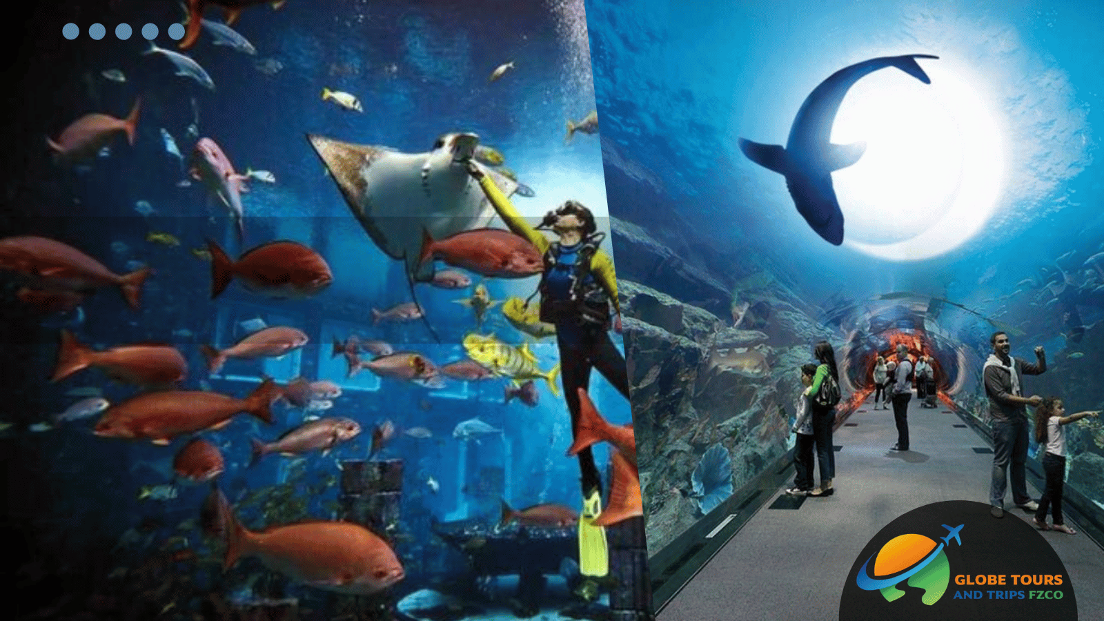 Dubai Aquarium and Underwater Zoo