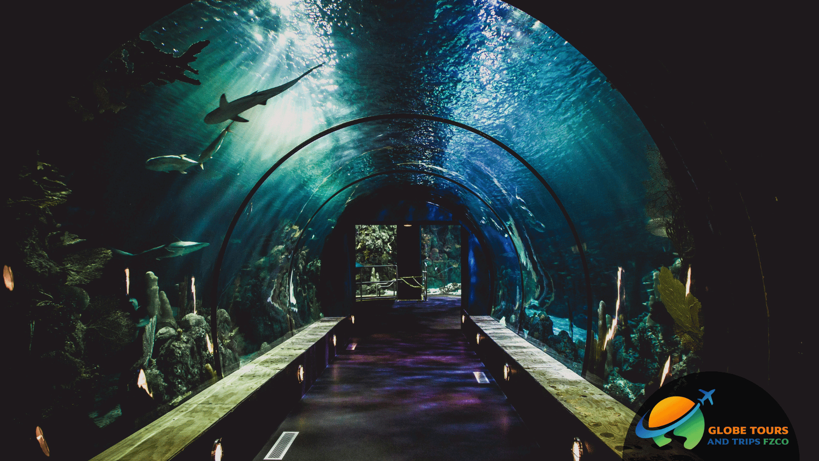 Dubai Aquarium and Underwater Zoo