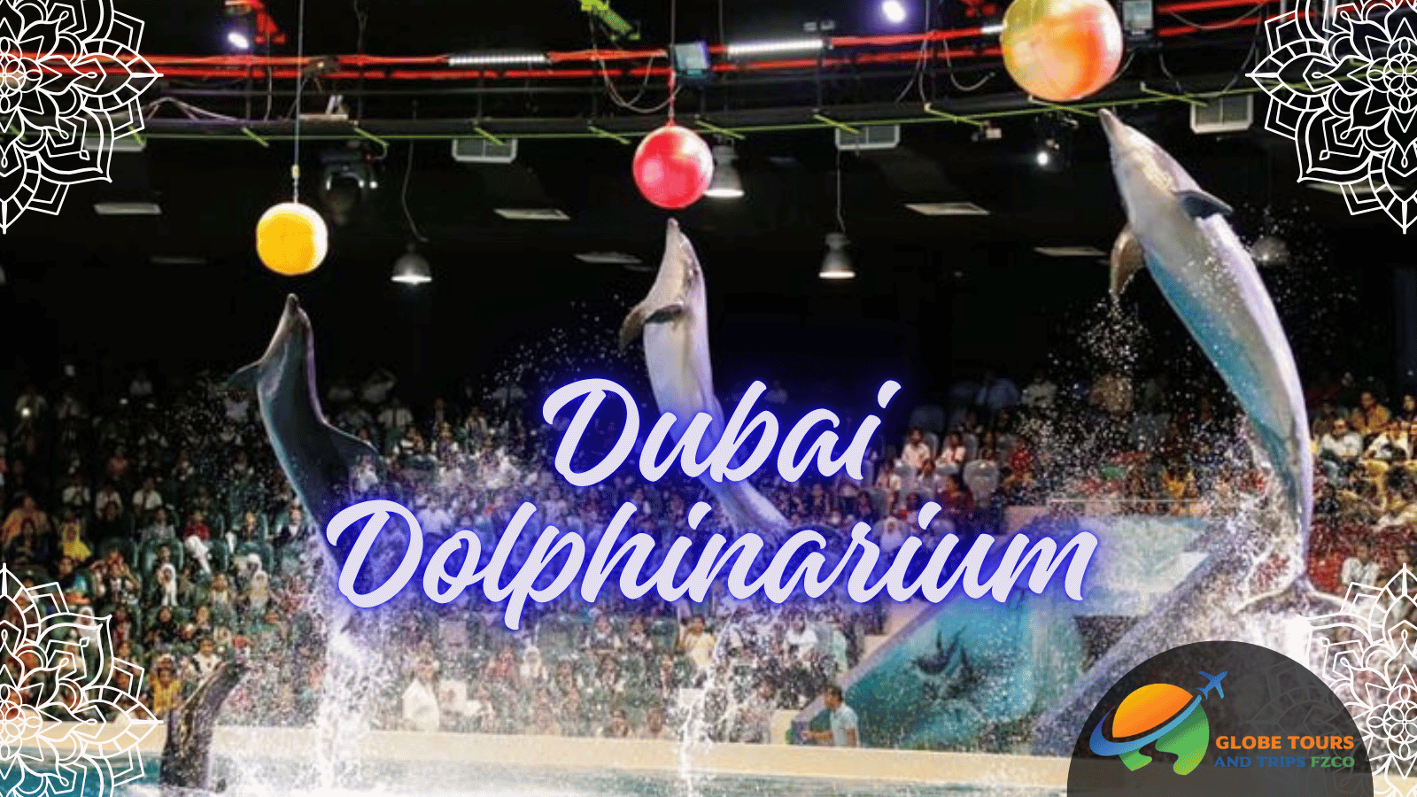 Dubai Dolphinarium Experience