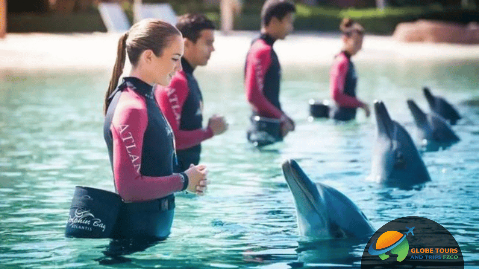 Dubai Dolphinarium Experience