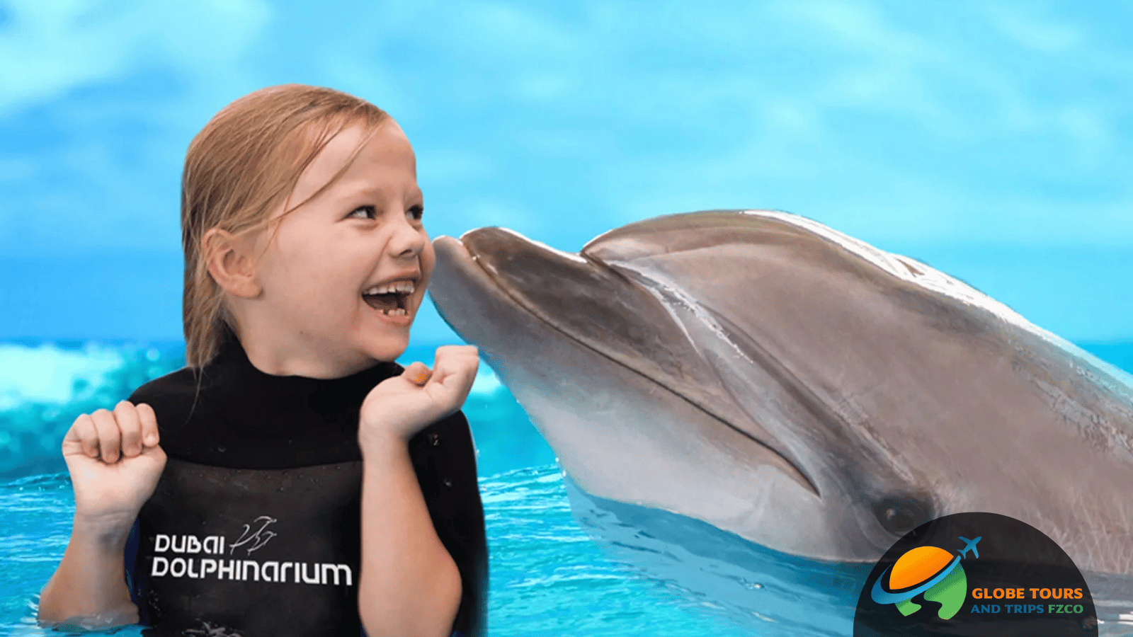 Dubai Dolphinarium Experience