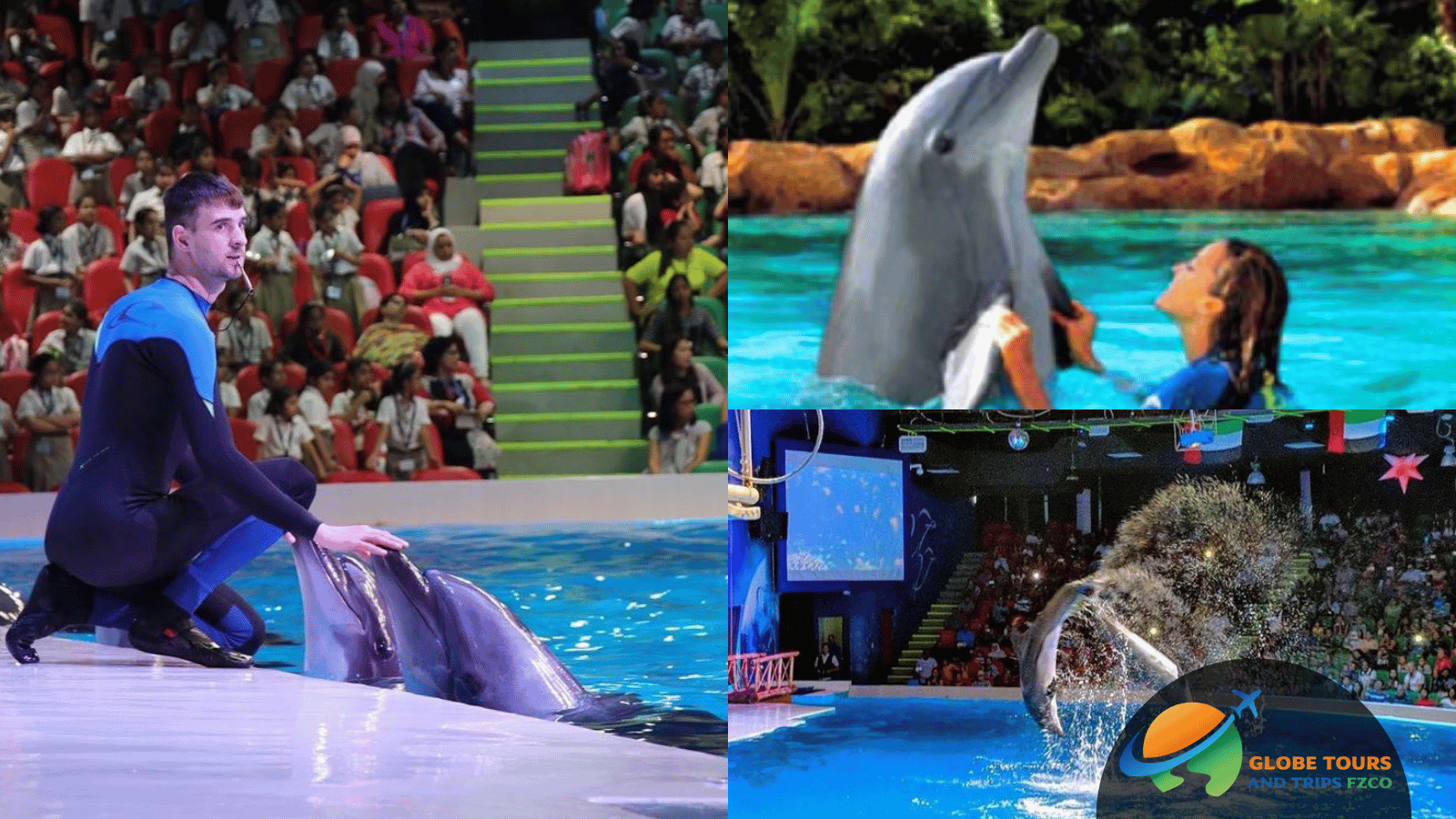 Dubai Dolphinarium Experience