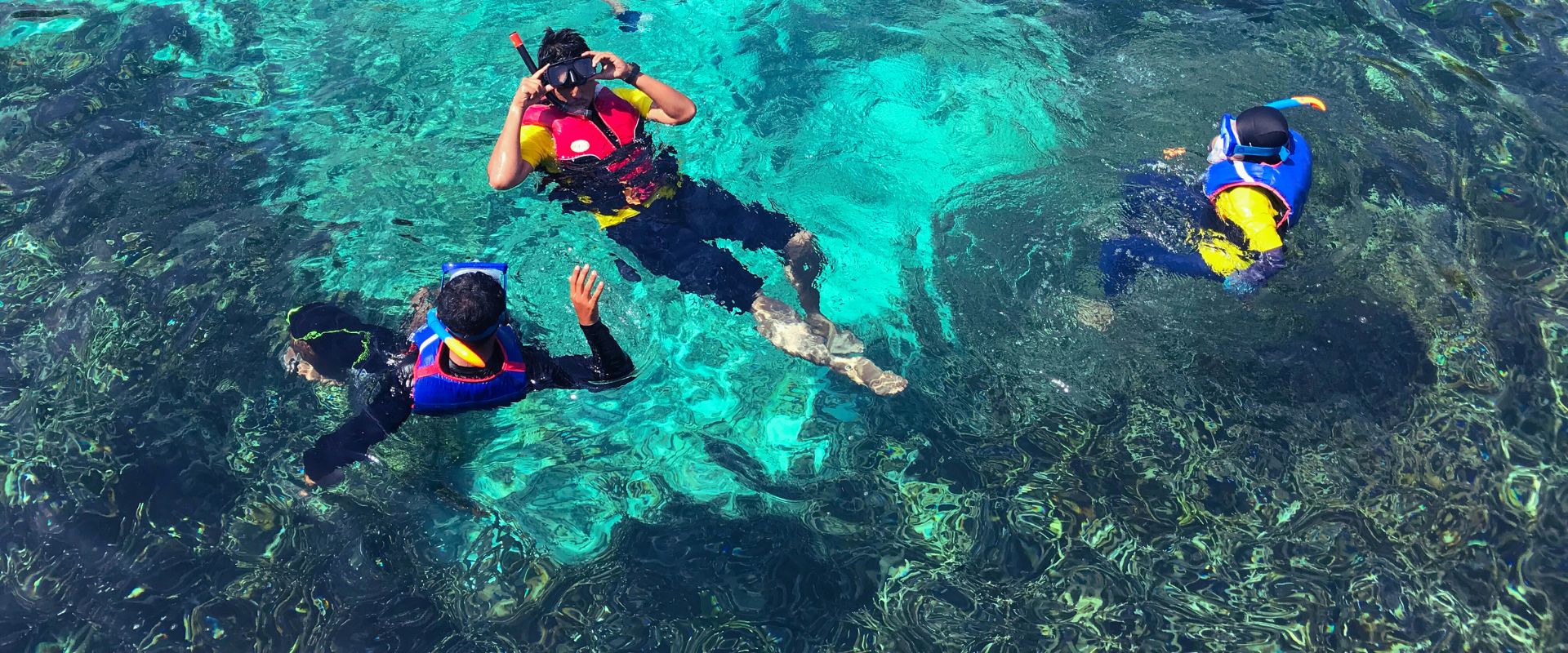 Fujairah Snorkeling Adventure
