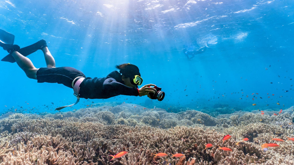 Fujairah Snorkeling Adventure