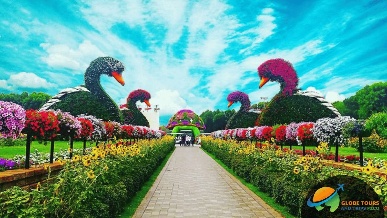 Dubai Miracle Garden Tour