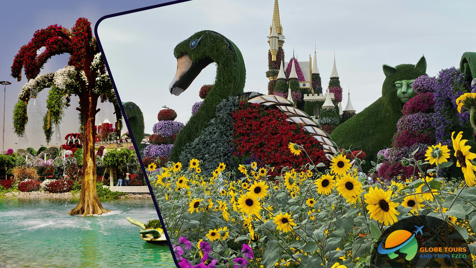 Dubai Miracle Garden Tour