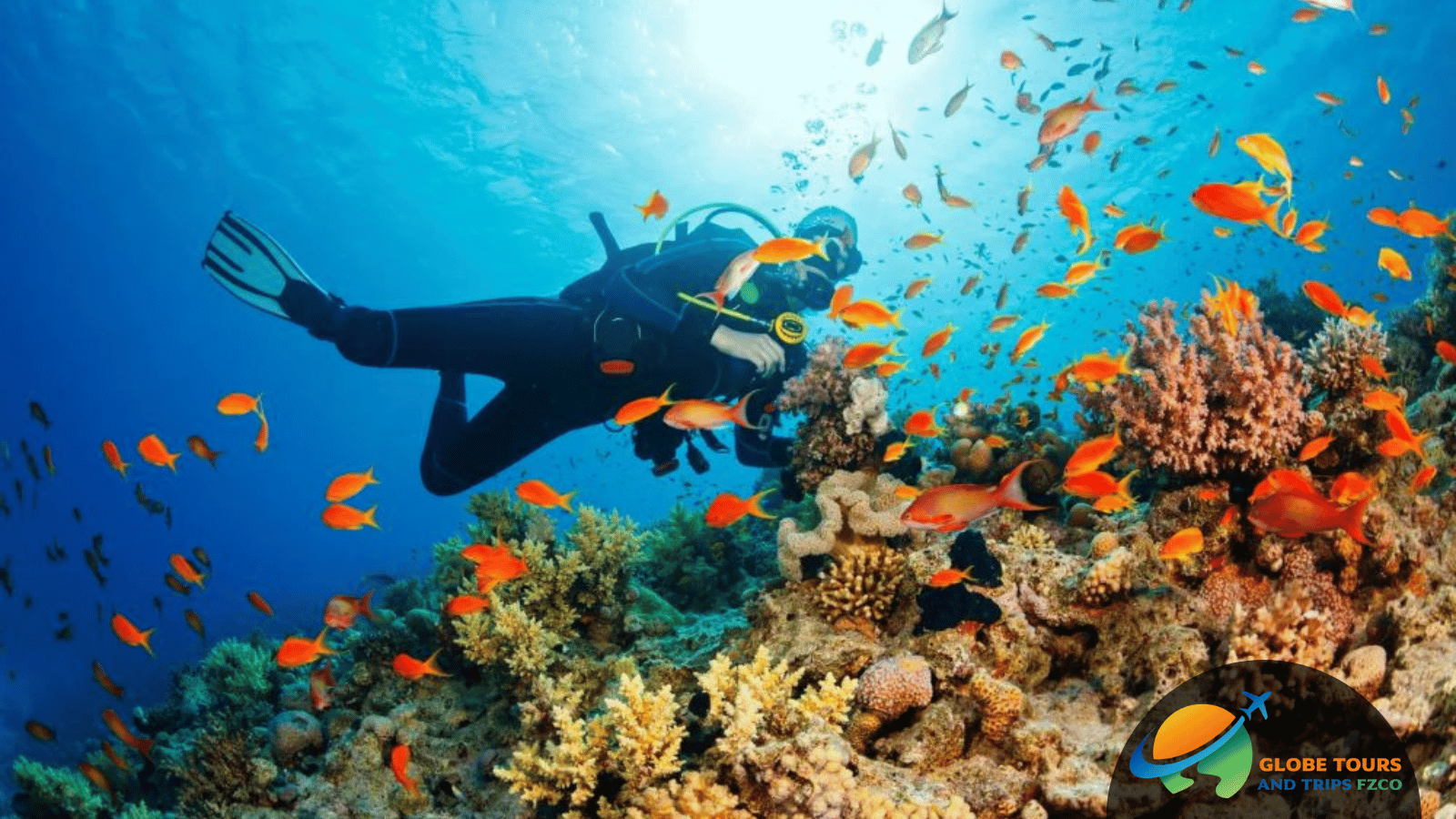 Dubai Scuba Diving Tour