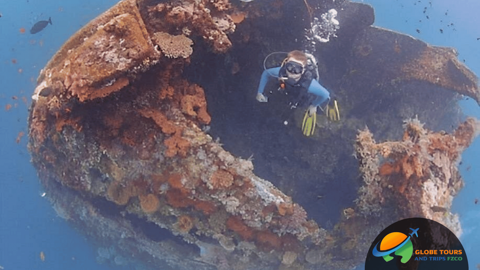 Dubai Scuba Diving Tour