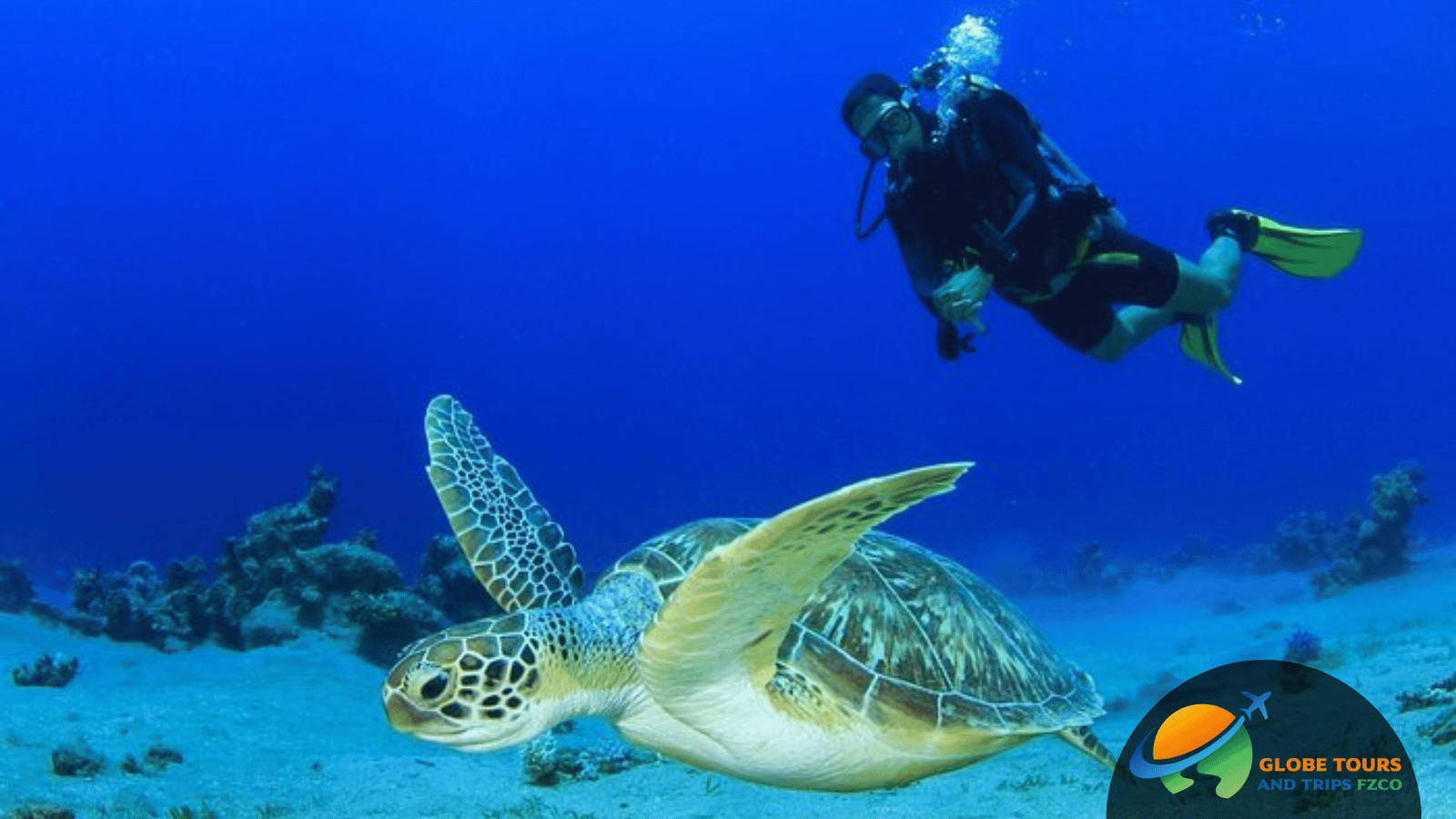 Dubai Scuba Diving Tour
