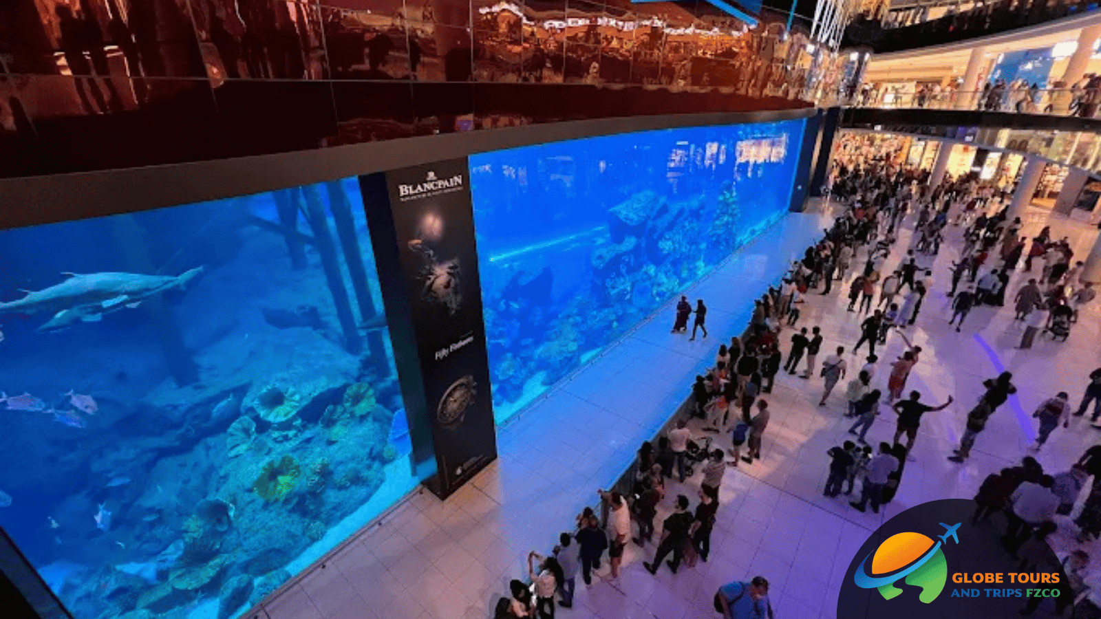 Dubai Shopping Tour