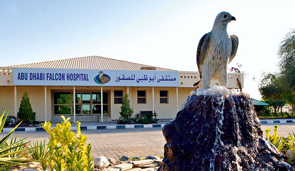 Abu Dhabi Falcon Hospital Tour