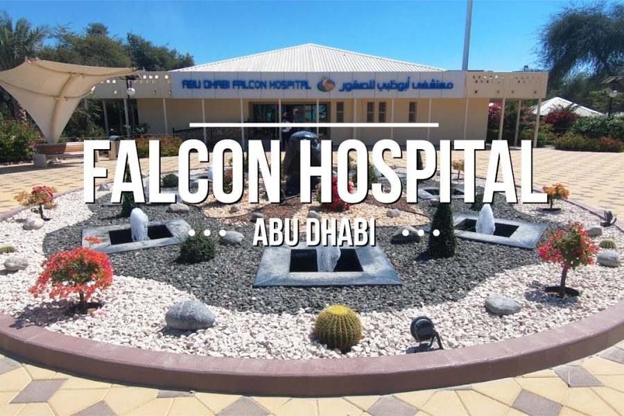 Abu Dhabi Falcon Hospital Tour