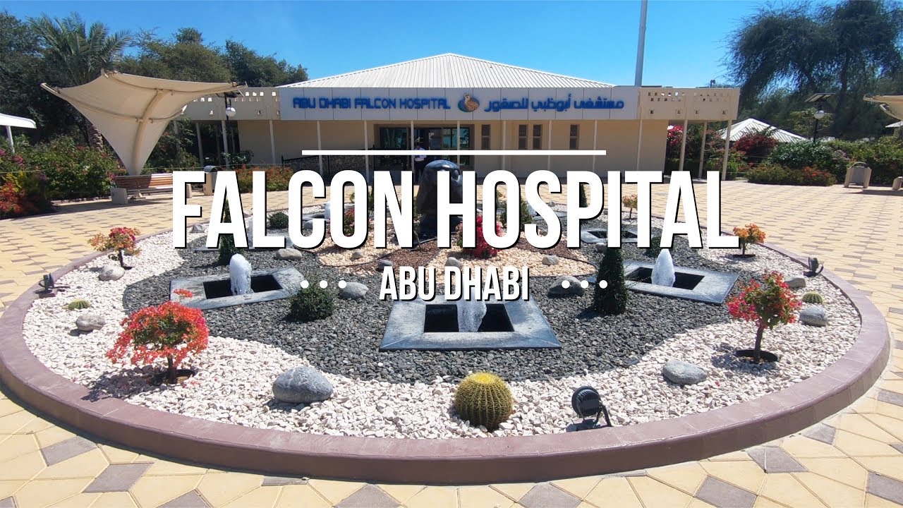 Abu Dhabi Falcon Hospital Tour