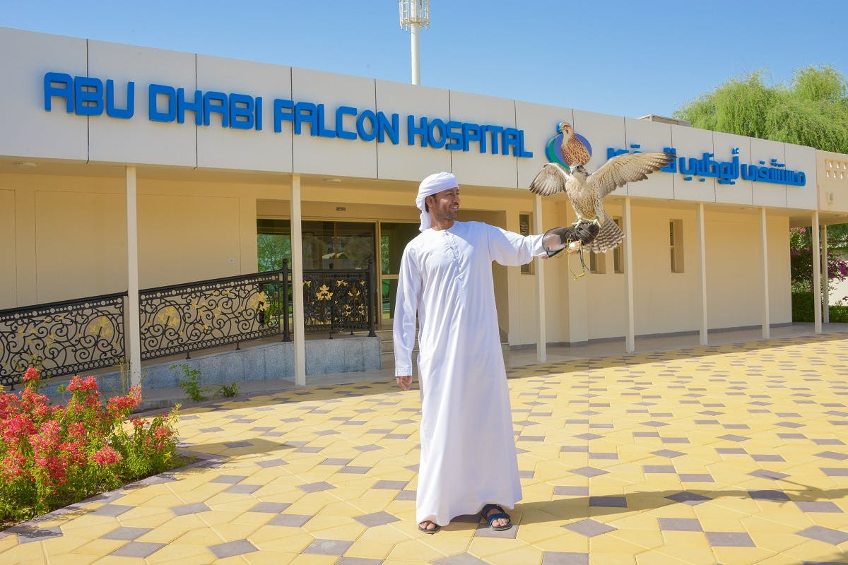 Abu Dhabi Falcon Hospital Tour