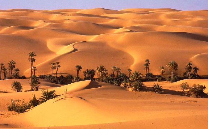 Liwa Desert Overnight Safari